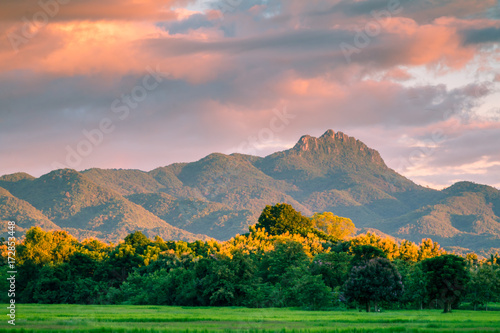 Beautiful sunset and dark clouds on rice fields with trees and big mountain background in Phrae Thailand. photo