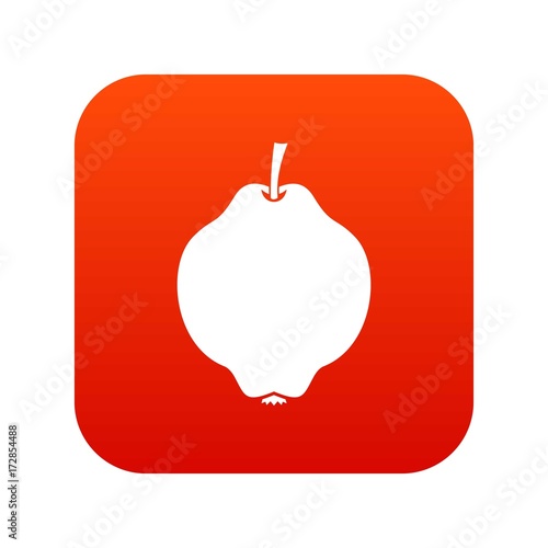 Quince fruit icon digital red