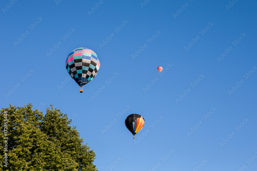 Fototapeta premium Hot Air Balloons with Tree in Foreground