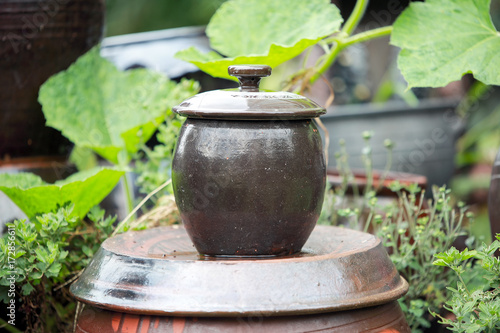 Korean Traditional Jar  'jangdokdae'
