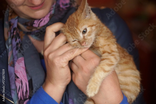 a woman and in the hands of a red kitten