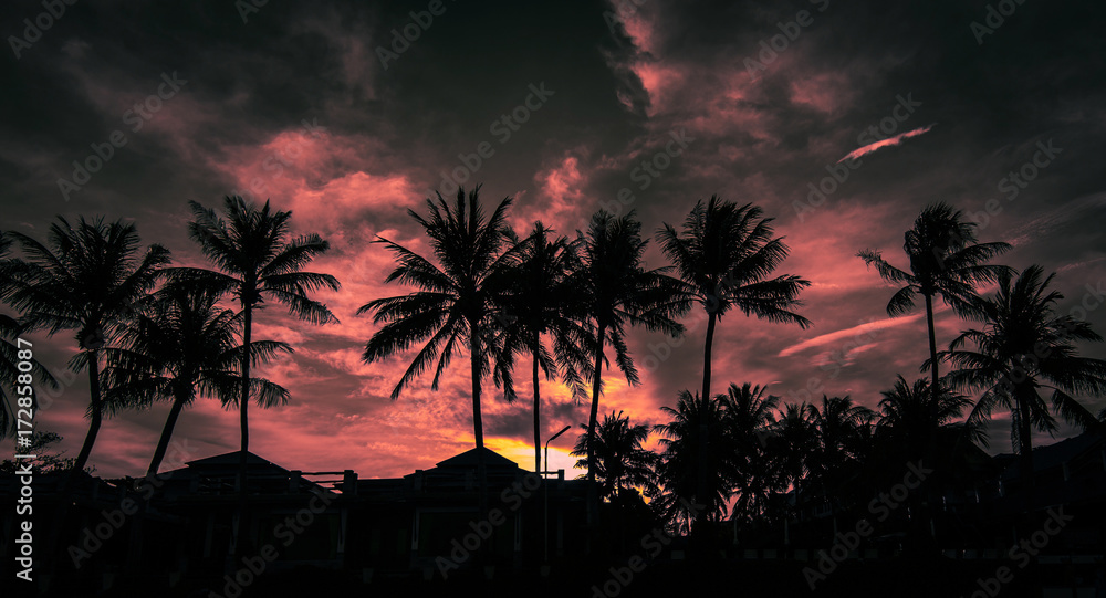 Obraz premium Sunset in the south.