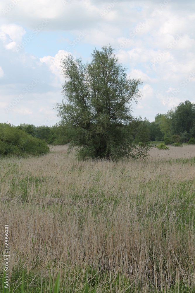molsbroek molsbroek