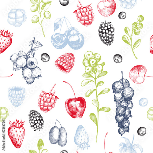 Vector pattern with  berries.