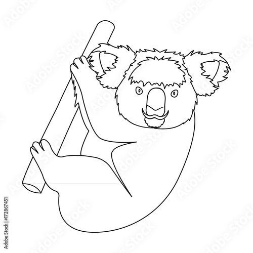 Kuala, marsupial bear on a branch of eucalyptus. Wild mammal of koala single icon in outline style vector symbol stock illustration web.