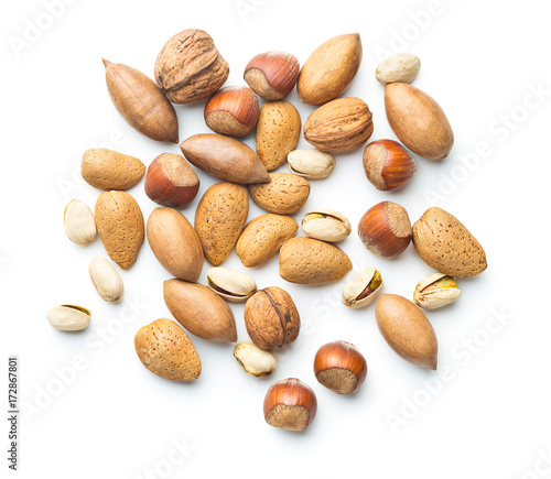 Different types of nuts in the nutshell.