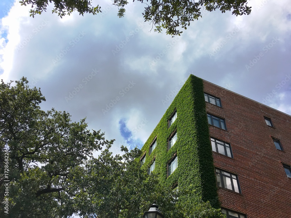 Tall Brick Apartment Building