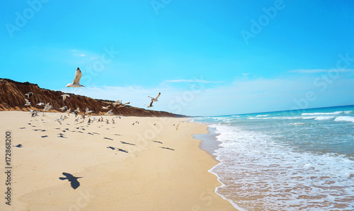 Praia da Galé - Portugal