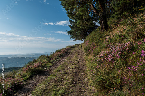 The oldest Camino de Santiago in Spain the 