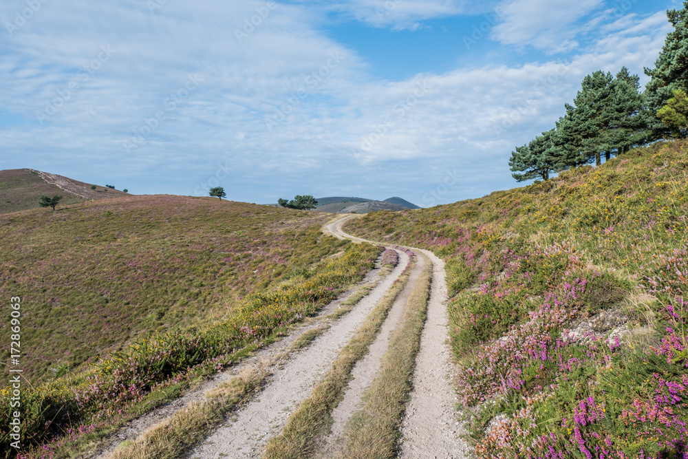 Naklejka premium The oldest Camino de Santiago in Spain the