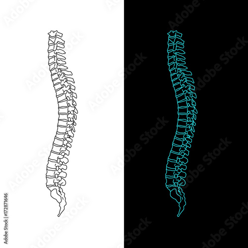 Vector illustration white spine diagnostic symbol, design, sign. Diagnostic center. Flat and solid color style design