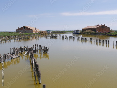 lavoriero di Stazione Serilla nelle Valli di Comacchio photo