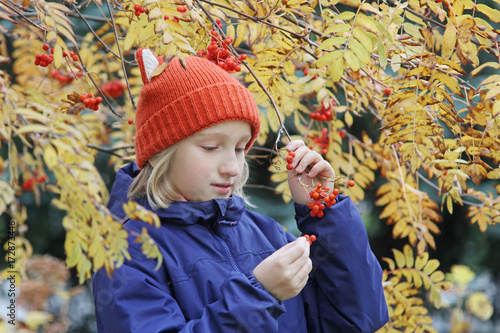 Curious kid girl collects rowan berries from the branch. Child is dressed in a funny knitted warm hat with ears, looks like a fox. Autumn, stroll in the park. 