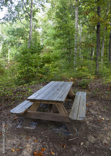 Picnic table in shaded forest setting.