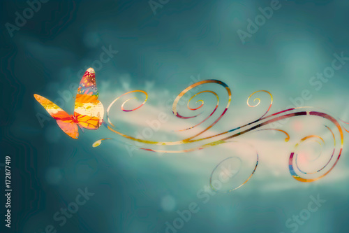 Butterfly and the wind