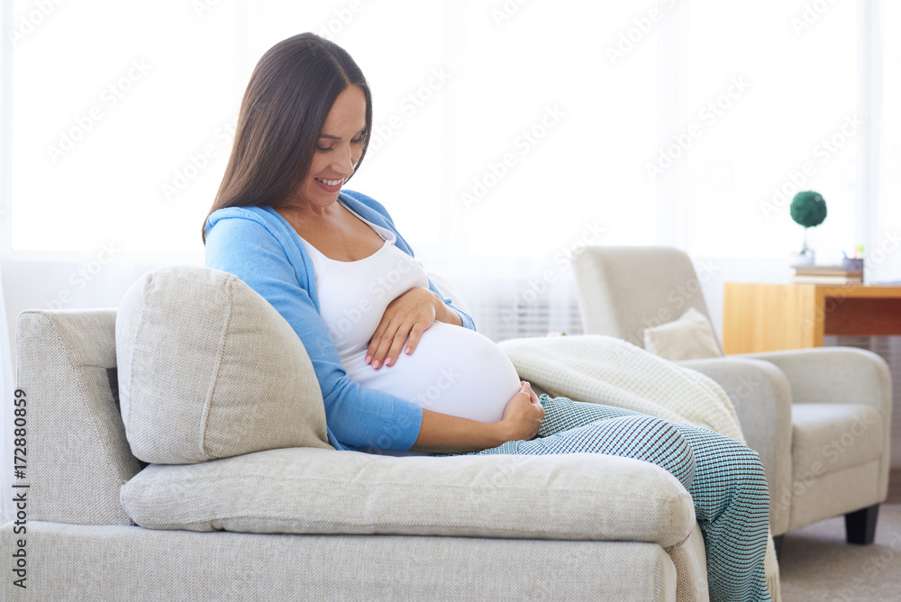 Happy pregnant woman resting at home on the sofa Happy pregnant woman resting at home on the sofa