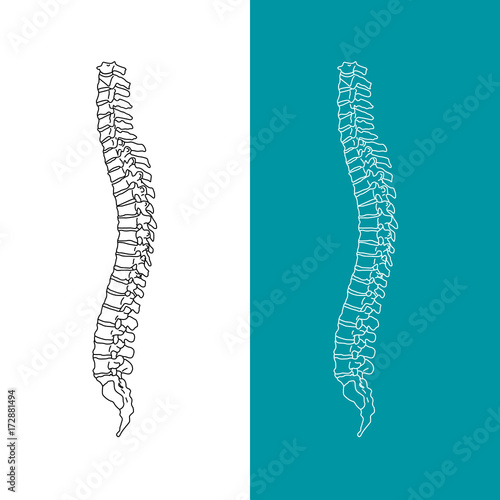 Vector illustration white spine diagnostic symbol, design, sign. Diagnostic center. Flat and solid color style design