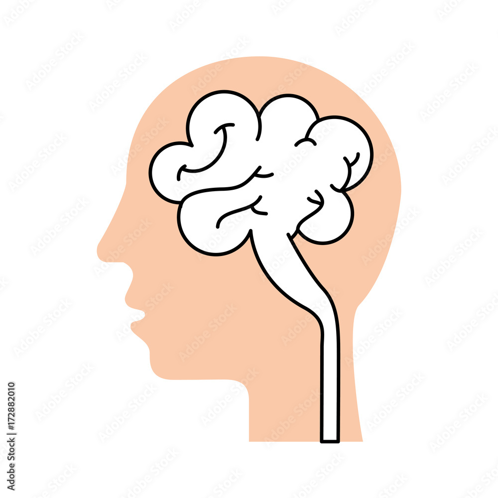 human head and brain icon mind concept vector illustration