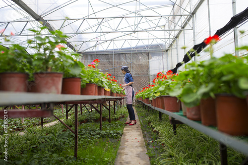 young asian female florist in the nursery photo