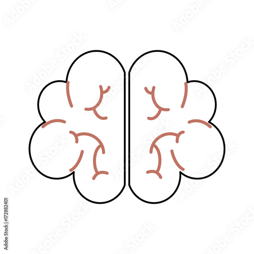 human brain mind or intelligence icon vector illustration