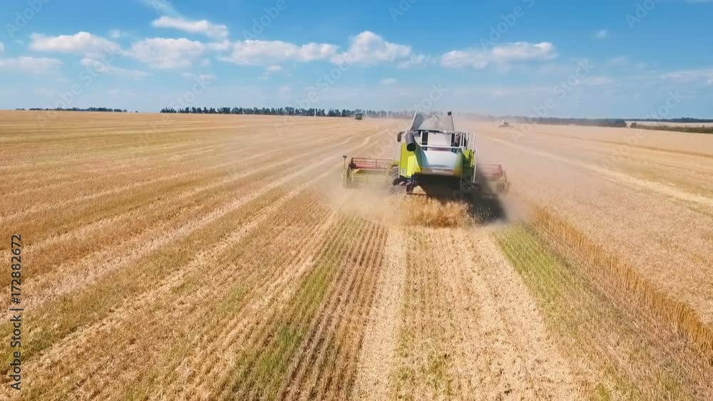 Aerial drone shot of a modern four combines harvesters working day in a big wheat field. Harvesting. Aerial drone shot of a modern four combines harvesters working day in a big wheat field. Harvesting.