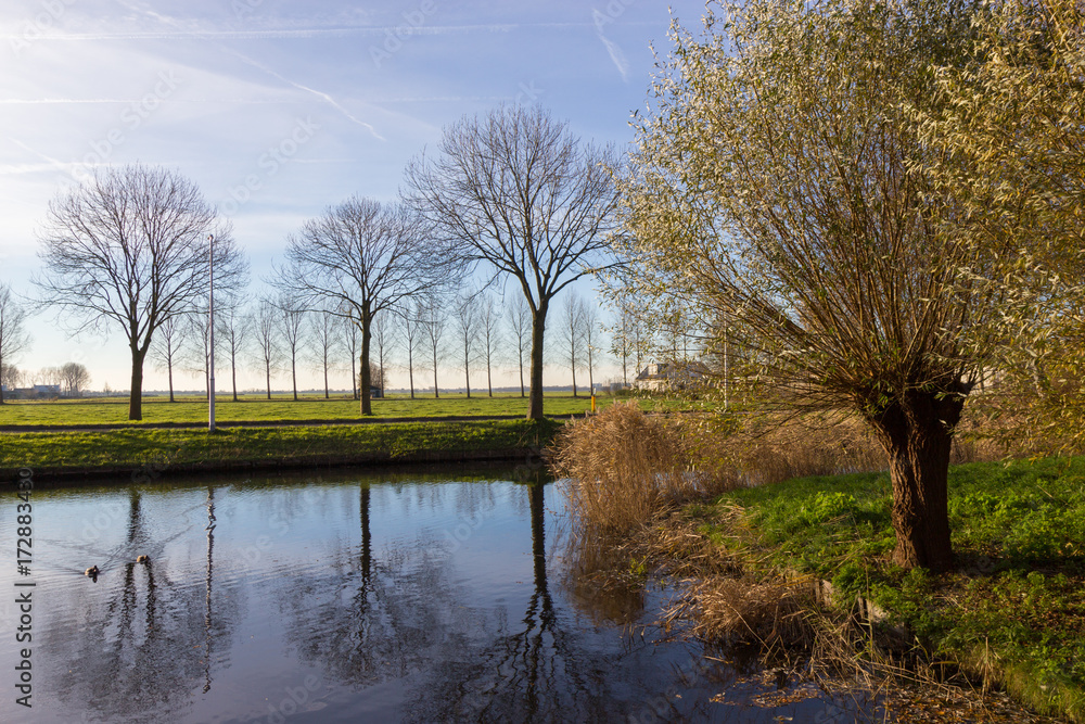 canals of Amstelveen, autumn time canals of Amstelveen, autumn time