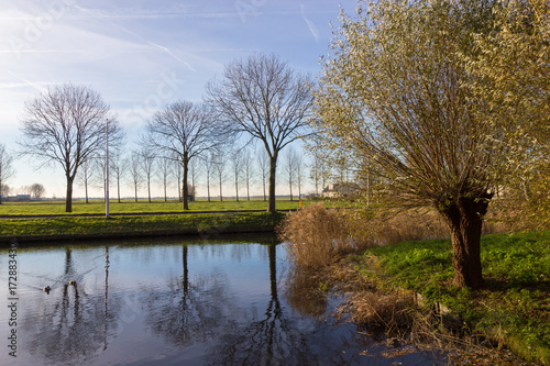 canals of Amstelveen, autumn time