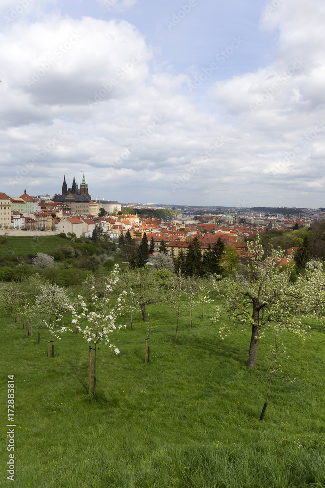 Spring Prague City with gothic Castle and the green Nature and flowering Trees, Czech Republic