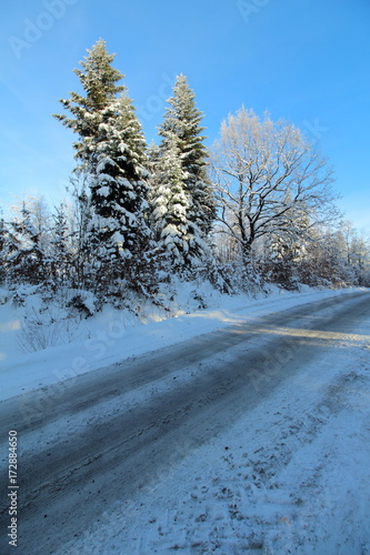 Winter country road with  forest on the side