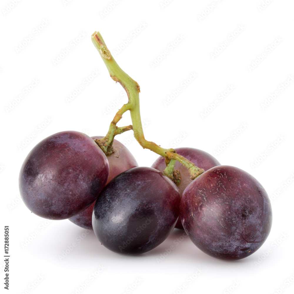 Red grape berry bunch isolated on white background cutout Red grape berry bunch isolated on white background cutout