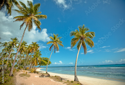 Amazing landscape in the wil beach Playa Bonita, Las Terrenas, Dominican Republic