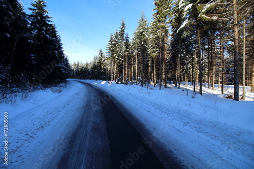 Winter country road with  forest on the side