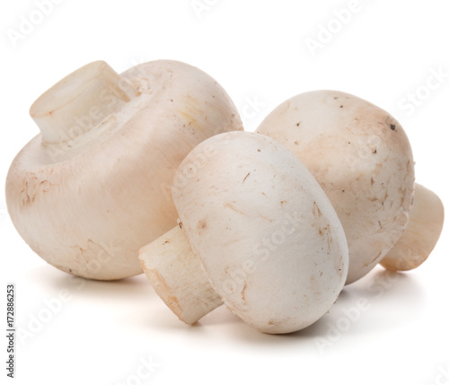 Champignon isolated on white background cutout
