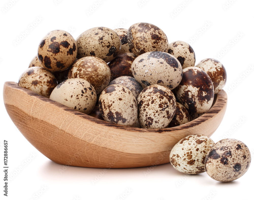 quail eggs in wooden bowl isolated on white background cutout quail eggs in wooden bowl isolated on white background cutout