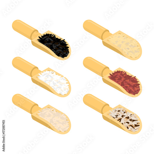 Rice in wooden scoop set. Parboiled and brown. Black and red. Basmati and wild rice. Groats in wood shovel. Grain on white background. Vector illustration