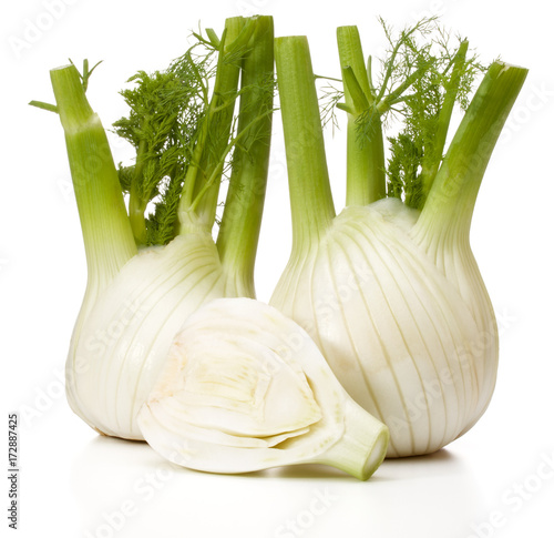 Fresh fennel bulb isolated on white background close up photo