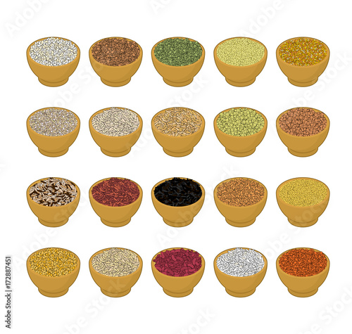 Groats in wooden bowl set. Rice and lentils. Red beans and peas. Corn and barley gritz. Millet and cuscus. Oat and buckwheat. Bulgur and wheat. Grain on white background. Vector illustration