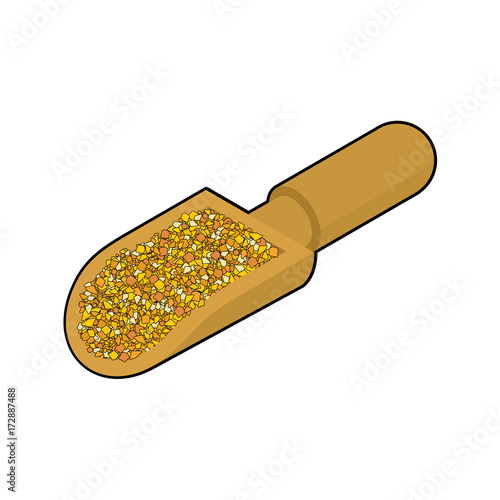 Corn grits in wooden scoop isolated. Groats in wood shovel. Grain on white background. Vector illustration