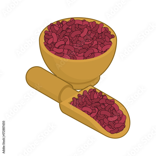 Red beans in wooden bowl and spoon. Groats in wood dish and shovel. Grain on white background. Vector illustration