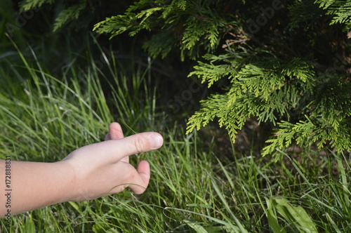 Child's hand in gesture of recall