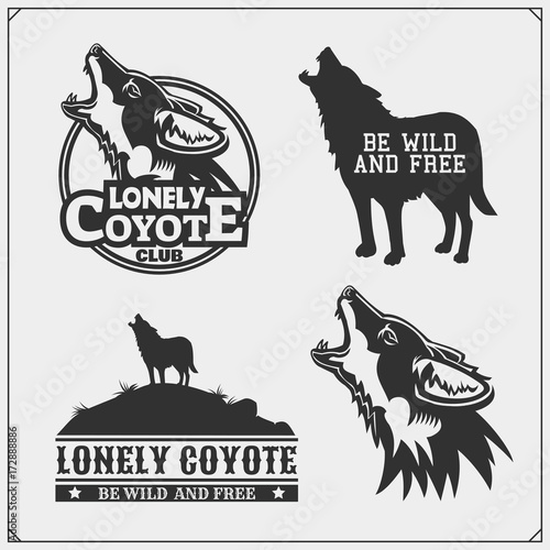 Billede på lærred The emblems with coyote for a sport team.
