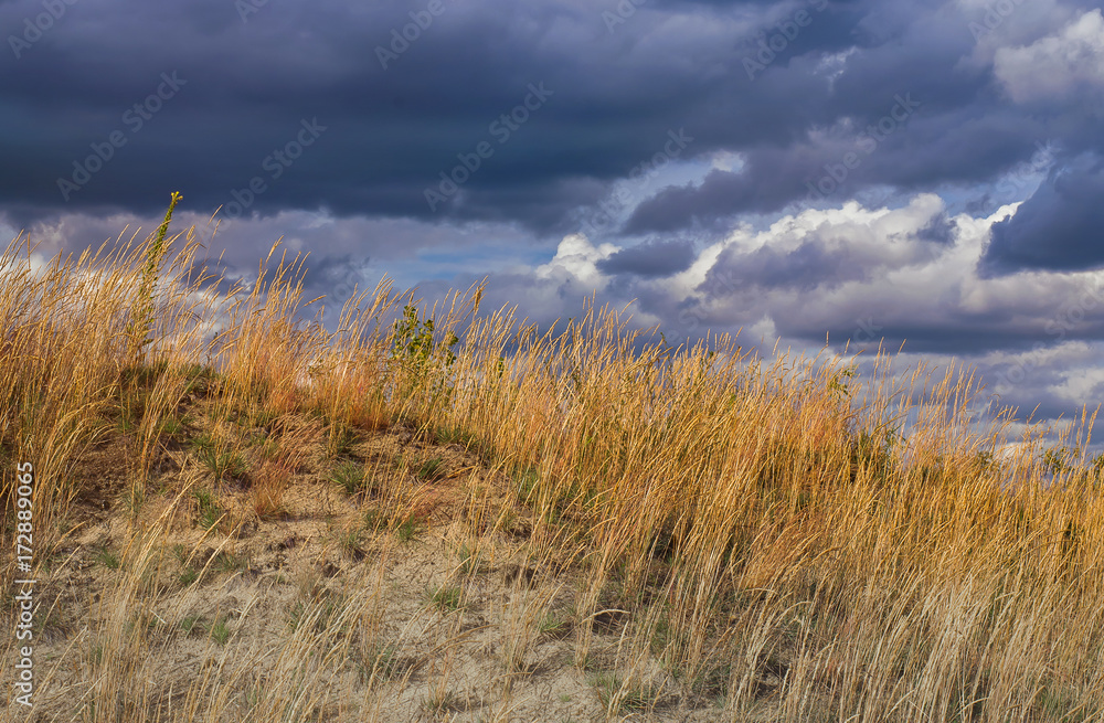 Obraz premium Landscape before the storm.