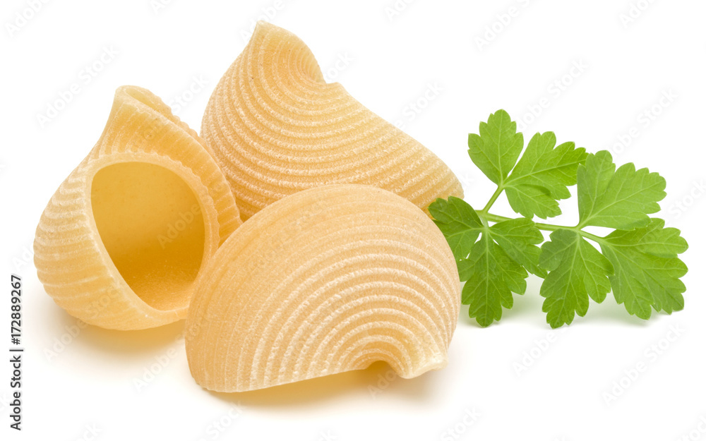 Italian lumaconi isolated on white background. Lumache, snailshell shaped pasta. Italian lumaconi isolated on white background. Lumache, snailshell shaped pasta.