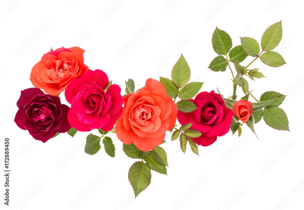 Naklejka premium kolorowy bukiet kwiatów róży z zielonych liści na białym tle na białe tło wyłącznik