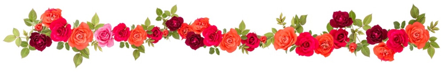 colorful rose flower bouquet border isolated on white background cutout