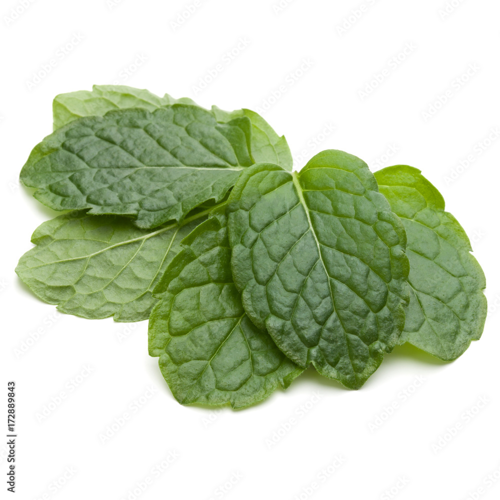 Peppermint herb isolated on white background cutout. Mint leaves. Peppermint herb isolated on white background cutout. Mint leaves.