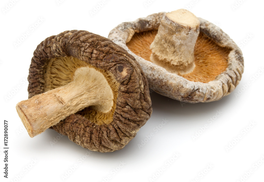 Dried Shiitake Mushroom isolated on white background Dried Shiitake Mushroom isolated on white background