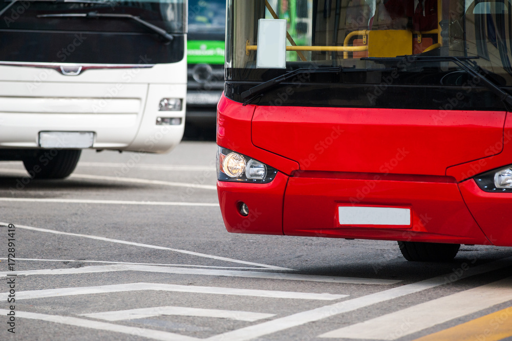 Fototapeta premium tour buses closeup in summer
