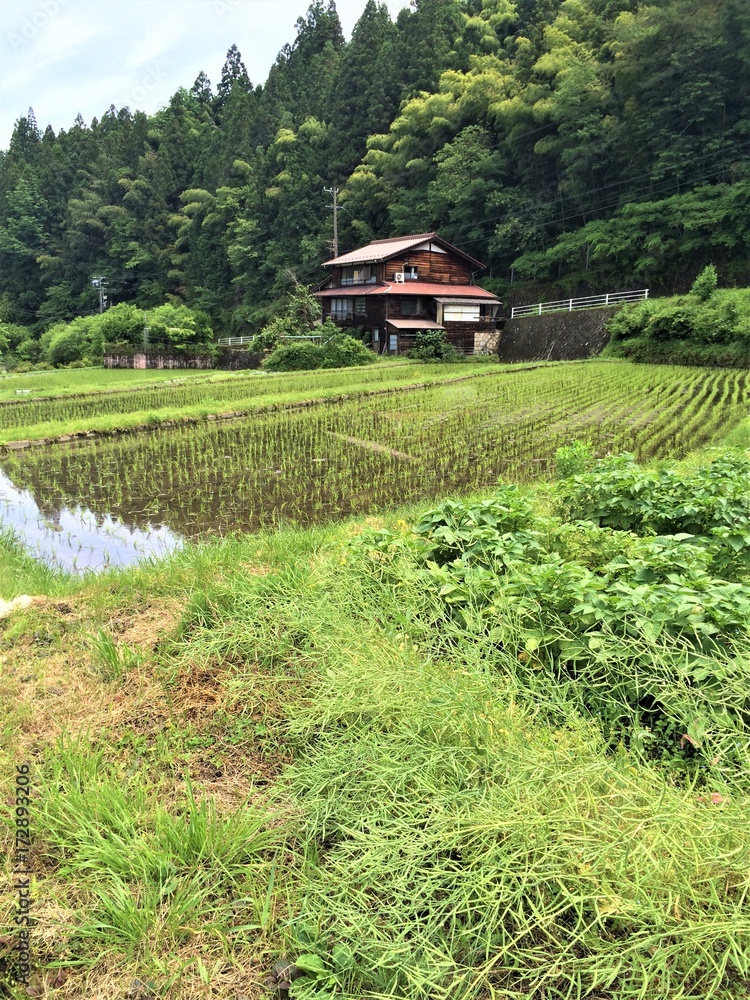 House in the mountains with rice field