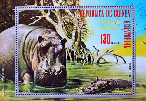 Postage stamp africa equatorial guinea hippopotamo series animal world